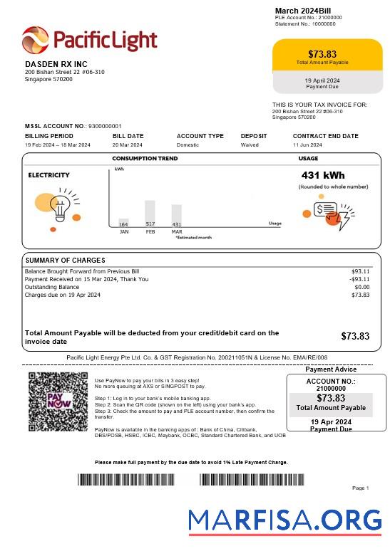 Printable Singapore Pacific Light electricity business utility bill template in Word and PDF formats